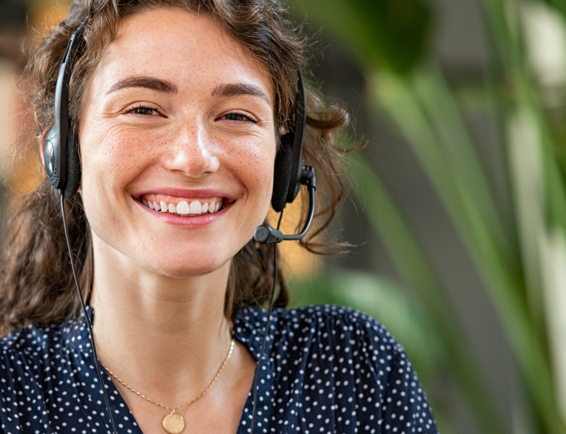 DBN Header Kundenportal